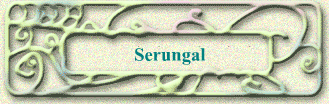 Serungal